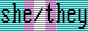 transgender pride flag with 'she/they' text on it